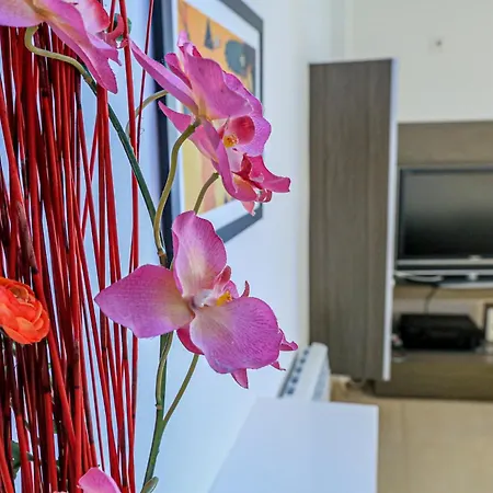 Litoral Costa Dorada - La Salle Only Families Apartment